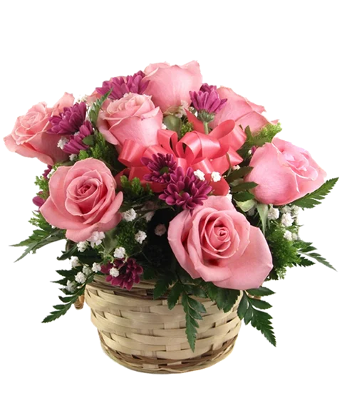 Rose rosa