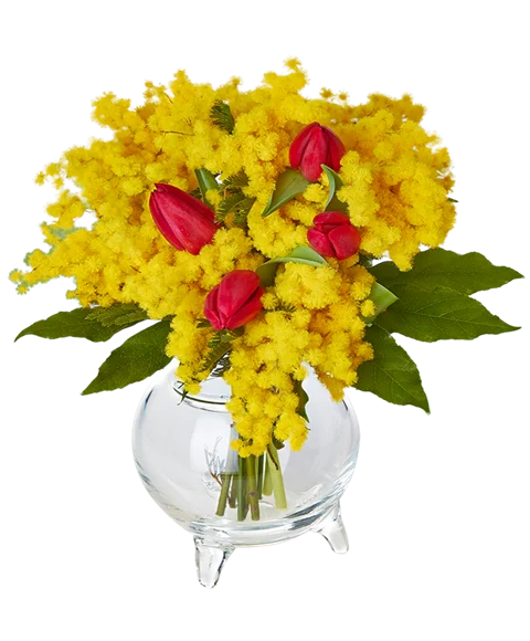 Bouquet mimosa