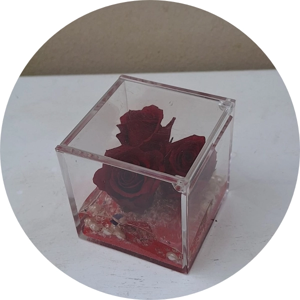 3 roselline rosse