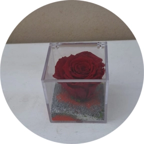 Rosa rossa stabilizzata